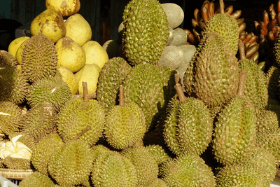 Durianfrüchte Markt Pyin U Lwin Myanmar