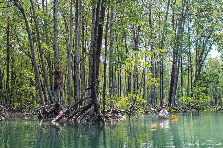 Kayakfahren in den Mangroven Wa Ale Mergui