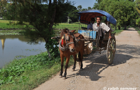 Pferdekutsche nach Inwa Myanmar
