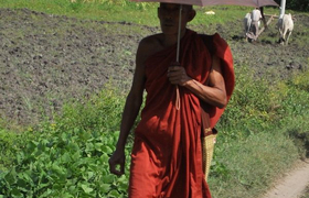Mönch mit Sonnenschirm