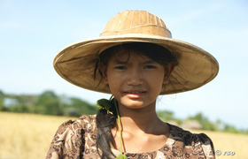 Bauernmädchen Pyay