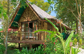 Treehouse Jungle Camp Khao Sok Nationalpark