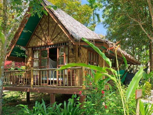 Treehouse Jungle Camp Khao Sok Nationalpark