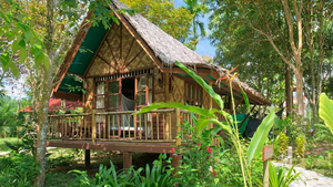 Treehouse Jungle Camp Khao Sok Nationalpark