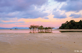 Mangrove Beach auf Wa Ale, Mergui Archipel Myanmar