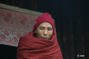 Burmesin