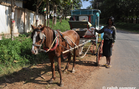 Pferdekutsche Pyin U Lwin Myanmar