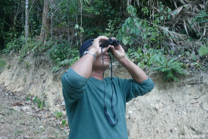 Vogelbeobachtung Awei Pila Resort