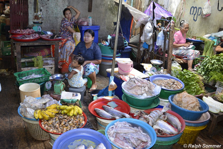 Fischmarkt in Myeik, Myanmar