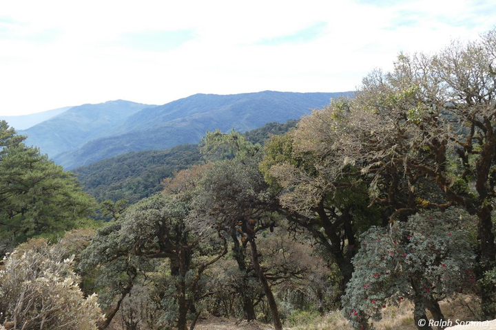 Landschaft Mount Victoria
