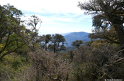 Aussicht Nationalpark Mount Victoria