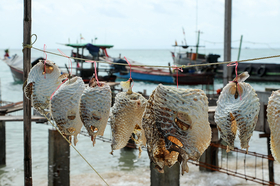  Dynamitfischerei Mergui Archipel Myanmar