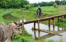 Biken-Holzbruecke-Rind