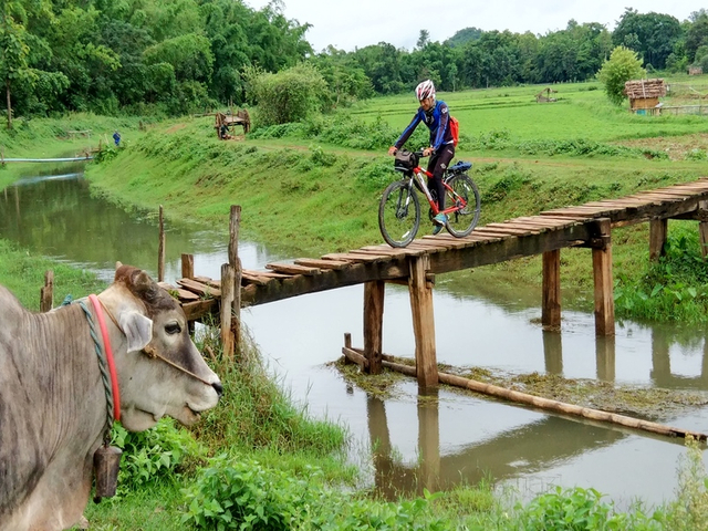 Biken-Holzbruecke-Rind