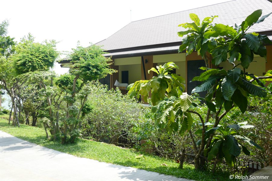 Victoria Cliff Hotel 